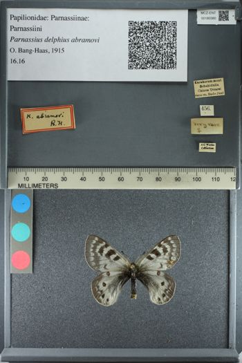 Media type: image;   Entomology 180380